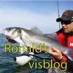 Ronalds visblog
